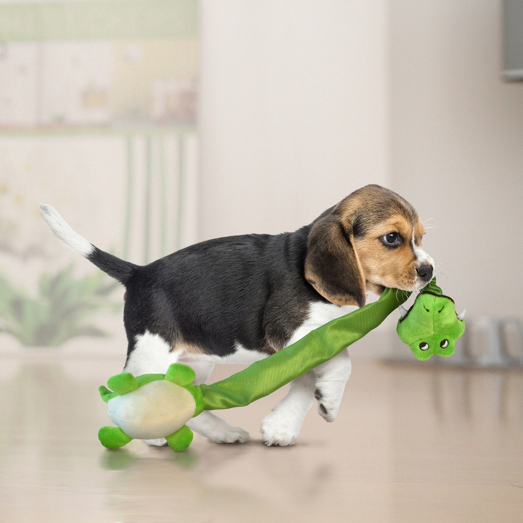 Kong Danglers (jirafa)