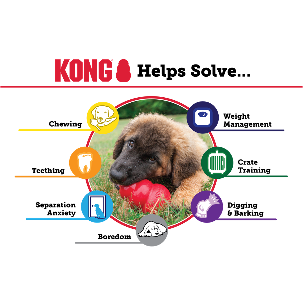 Kong Puppy Medium
