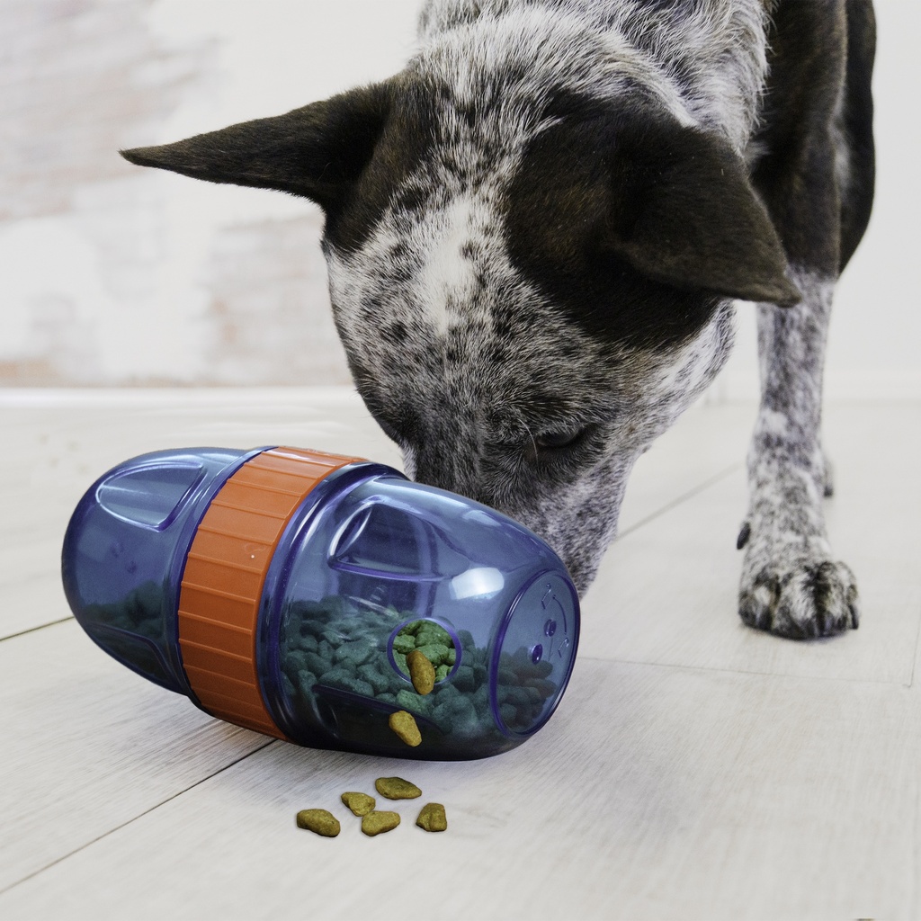 Kong Scuttle Pod Large 