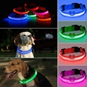 Collar con luces para perro