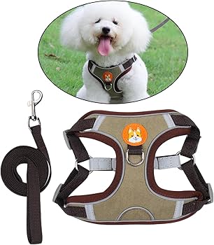 Pechera con correa para perros pequeños