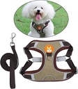 Pechera con correa para perros pequeños
