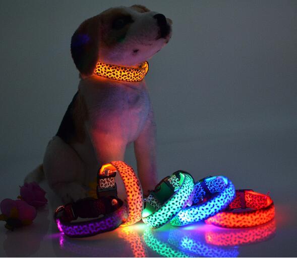 Collar con Luces para Perro