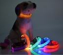 Collar con Luces para Perro