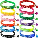 Collares Varios de Q10