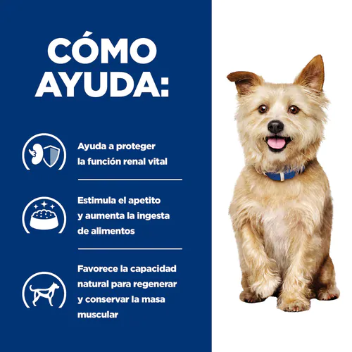 Hill's Prescription Diet Kidney Care Perro (lata)