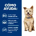 Hill's Prescription Diet Kidney Care Perro (lata)
