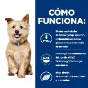 Hill's Prescription Diet Kidney Care Perro (lata)