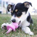 Kong Puppy Binkie Medium