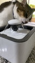 Fuente bebedero gato