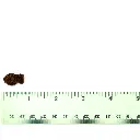 VetriScience UT Strength Feline