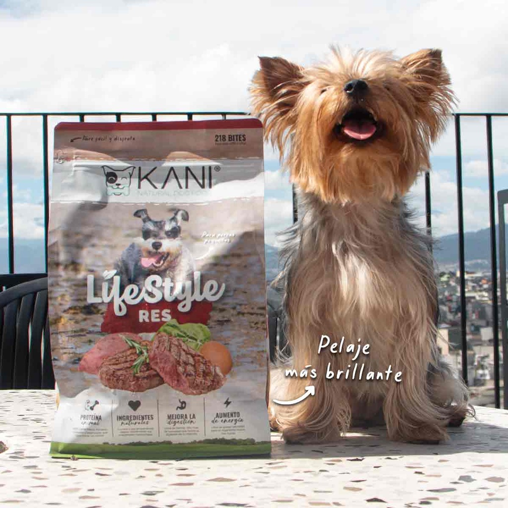 Kani Bites Sabor a Res (218 Porciones)