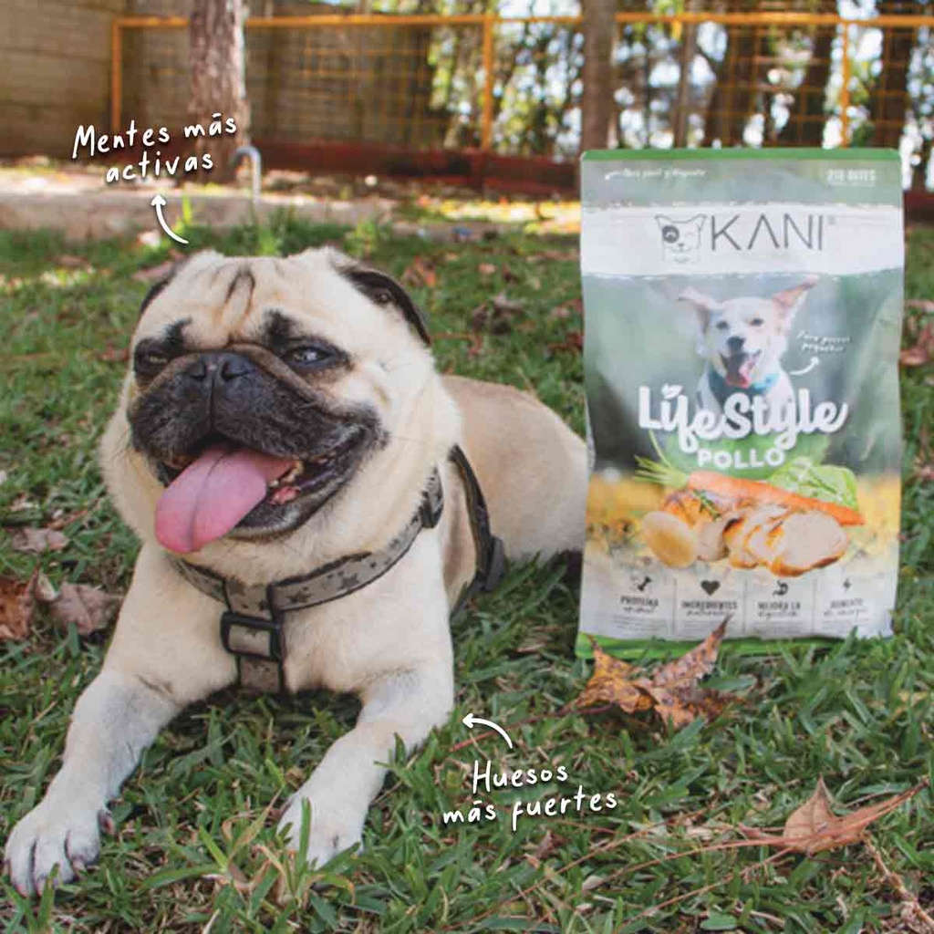 Kani Bites Sabor a Pollo (218 Porciones)