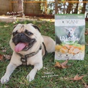 Kani Bites Sabor a Pollo (218 Porciones)