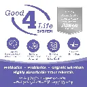 NS_SmallMedPuppy-01.webp