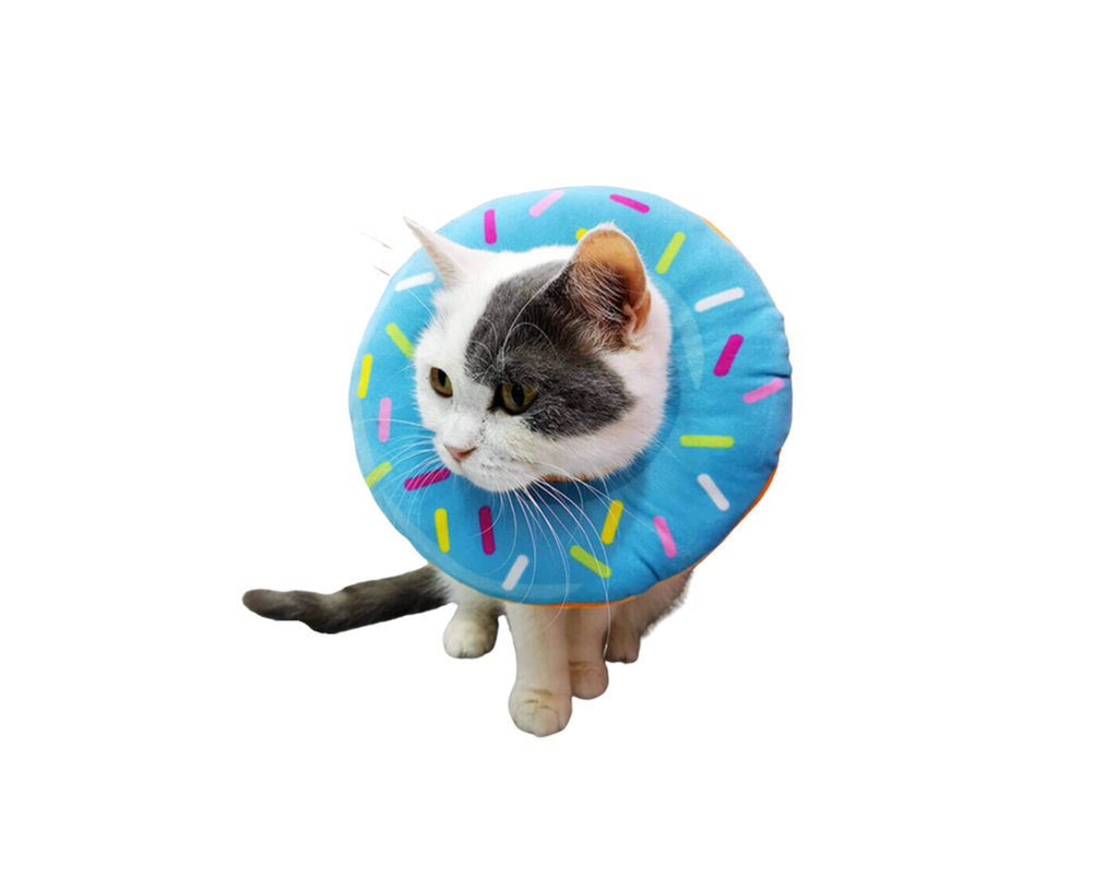 Collar Isabelino de Dona Nobleza talla L