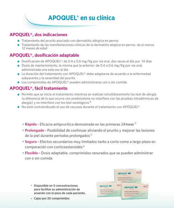Apoqueñ.webp