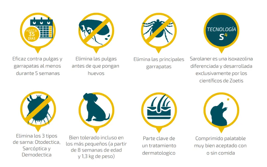 Captura de pantalla 2025-09-19 134035.webp