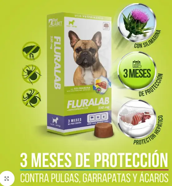 Captura de pantalla 2025-09-23 171242.webp