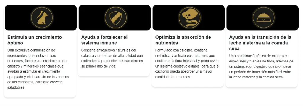 Captura de pantalla 2025-09-29 172529.webp