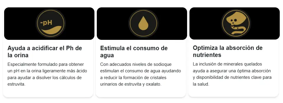 Captura de pantalla 2025-09-30 150018.webp