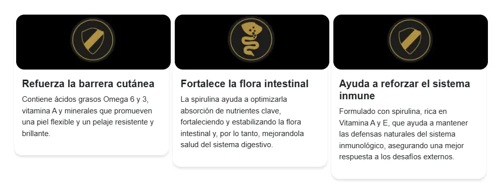 Captura de pantalla 2025-09-30 155651.webp