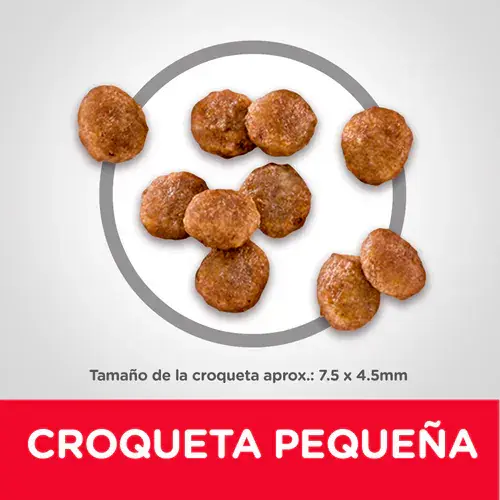 sd-canine-adult-small-breed-dry-productKibble_500.webp