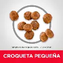 sd-canine-adult-small-breed-dry-productKibble_500.webp