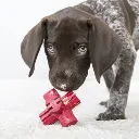 jumpn1.webp