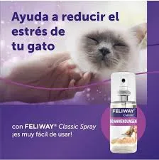 feli2.webp
