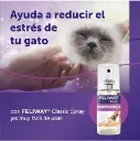 feli2.webp