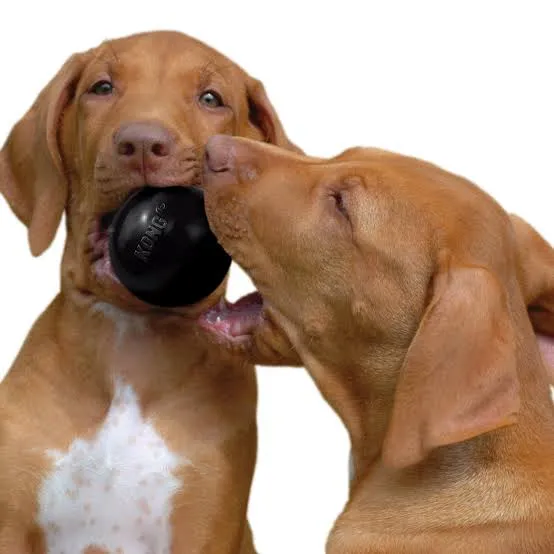 ball perris.webp