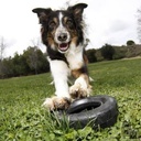 tyre perri2.jfif