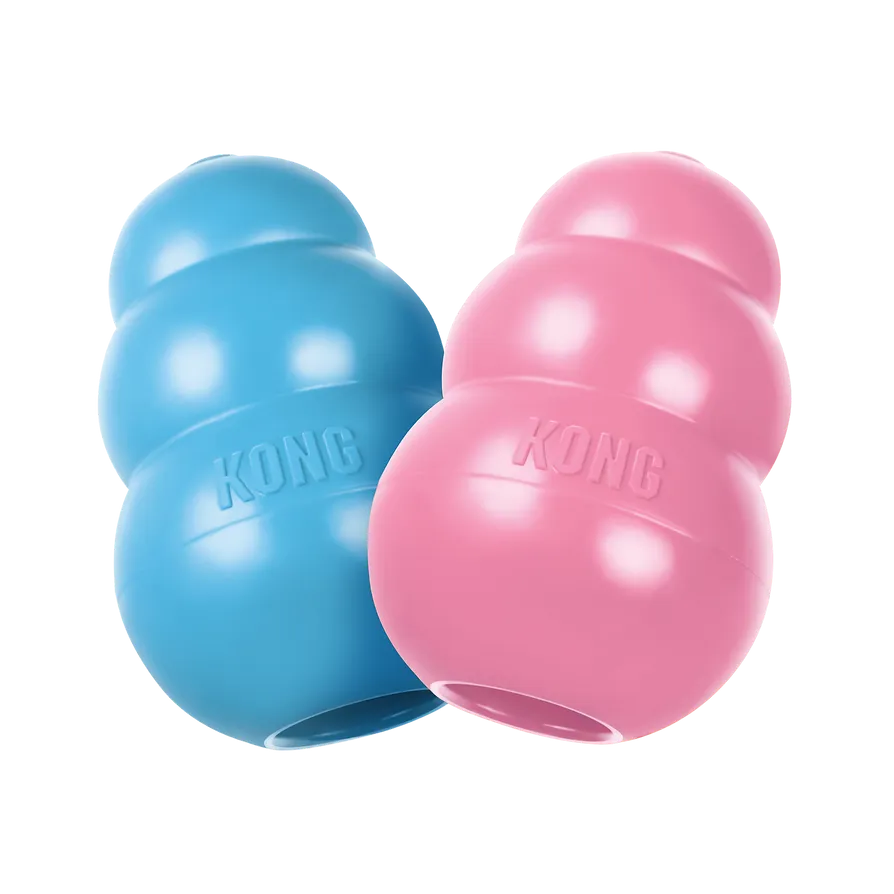kong ambos.webp