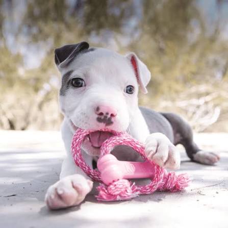 rope rosa.jfif