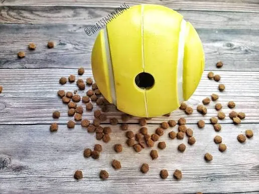 pelota3.webp