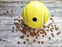 pelota3.webp