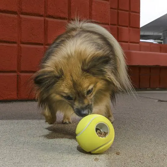 pelota2.webp
