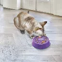 licks lila 2.webp
