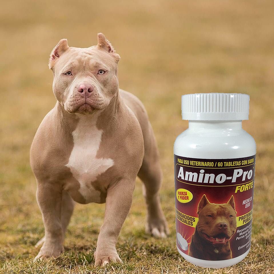 Amino-Bolic 60 tabletas