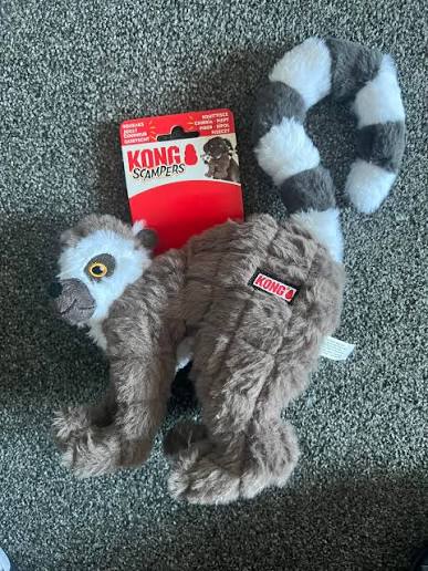 lemur2.jfif