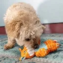 foxfloppy2.webp
