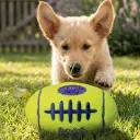 airdog.webp