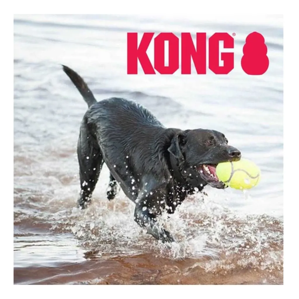 airdog.webp