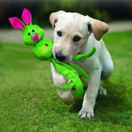conejo verde.webp
