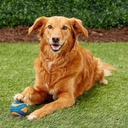 squeaker.jfif