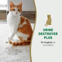 catplus.jfif