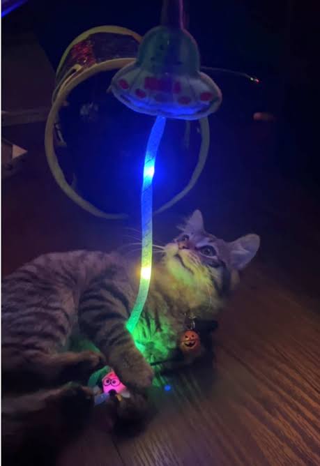 ufo4.jfif