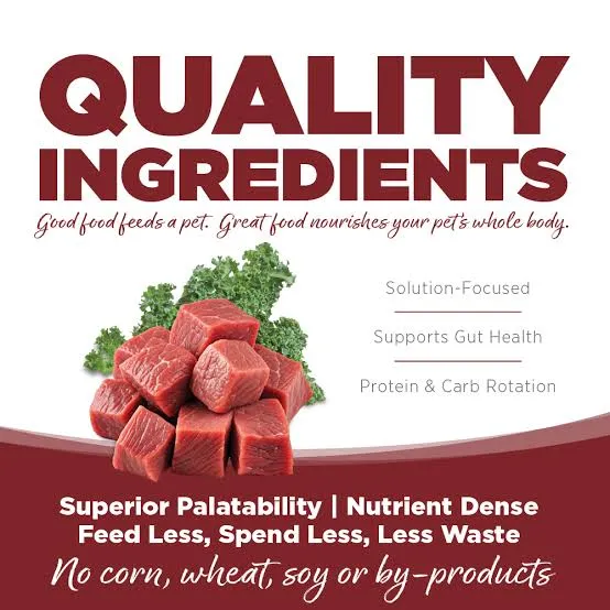 KALE2.webp