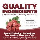 KALE2.webp